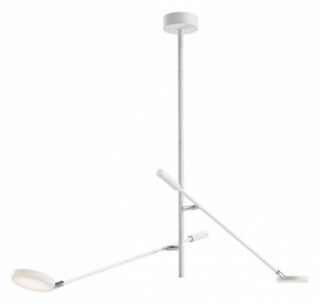 Светильник на штанге Maytoni Fad MOD070CL-L15W3K1 в Копейске - kopejsk.ok-mebel.com | фото