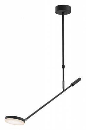 Светильник на штанге Maytoni Fad MOD070CL-L8B3K в Копейске - kopejsk.ok-mebel.com | фото