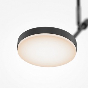 Светильник на штанге Maytoni Fad MOD070CL-L8B3K в Копейске - kopejsk.ok-mebel.com | фото 4