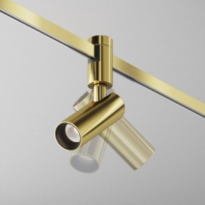 Светильник на штанге Maytoni Focus Led TR144-1-5W4K-W-BS в Копейске - kopejsk.ok-mebel.com | фото 2