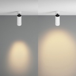 Светильник на штанге Maytoni Focus Zoom C055CL-L12W2.7K-Z-W в Копейске - kopejsk.ok-mebel.com | фото 3