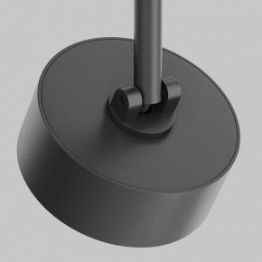Светильник на штанге Maytoni Lens TR217-2-15W3K-B в Копейске - kopejsk.ok-mebel.com | фото 11