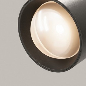 Светильник на штанге Maytoni Lens TR217-2-15W3K-B в Копейске - kopejsk.ok-mebel.com | фото 12