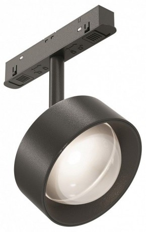 Светильник на штанге Maytoni Lens TR217-2-15W4K-B в Копейске - kopejsk.ok-mebel.com | фото