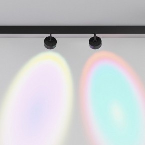 Светильник на штанге Maytoni Lens TR217-2-15W4K-B в Копейске - kopejsk.ok-mebel.com | фото 6