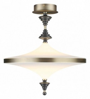 Светильник на штанге Odeon Light Ula 5404/43CL в Копейске - kopejsk.ok-mebel.com | фото 2