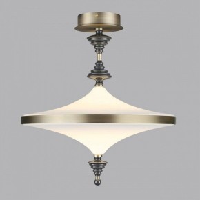 Светильник на штанге Odeon Light Ula 5404/43CL в Копейске - kopejsk.ok-mebel.com | фото 3