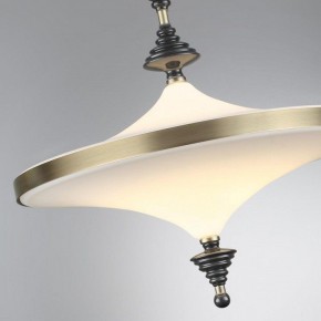 Светильник на штанге Odeon Light Ula 5404/43CL в Копейске - kopejsk.ok-mebel.com | фото 6