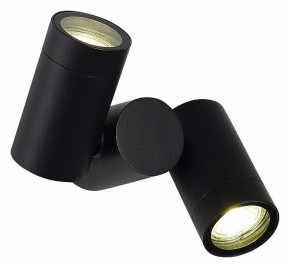Светильник на штанге ST-Luce Ecollo SL9011.402.02 в Копейске - kopejsk.ok-mebel.com | фото 2