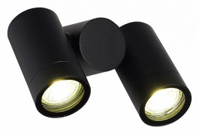 Светильник на штанге ST-Luce Ecollo SL9011.402.02 в Копейске - kopejsk.ok-mebel.com | фото 3