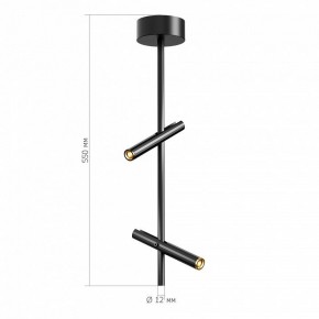 Светильник на штанге ST-Luce LILT SL6210.403.02 в Копейске - kopejsk.ok-mebel.com | фото 3