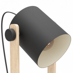 Торшер Eglo HORNWOOD 43521 в Копейске - kopejsk.ok-mebel.com | фото 4