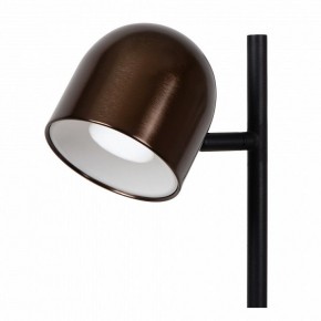 Торшер Lucide Skanska Rech 03749/03/96 в Копейске - kopejsk.ok-mebel.com | фото 3