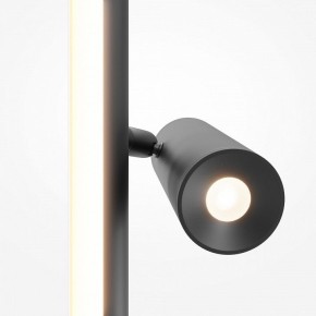 Торшер Maytoni Thin MOD395FL-L28B3K в Копейске - kopejsk.ok-mebel.com | фото 6