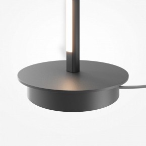 Торшер Maytoni Thin MOD395FL-L28B3K в Копейске - kopejsk.ok-mebel.com | фото 8
