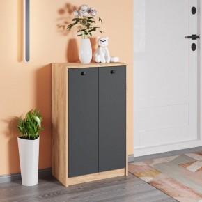Тумба для обуви Рино в Копейске - kopejsk.ok-mebel.com | фото 3