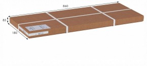 Вешалка гардеробная Стойка высокая в Копейске - kopejsk.ok-mebel.com | фото 9