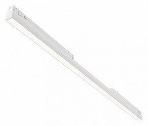 Встраиваемый светильник Maytoni Basis TR030-4-30WTW-DD2-W в Копейске - kopejsk.ok-mebel.com | фото
