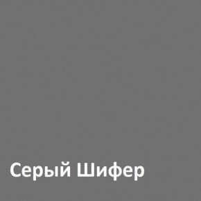 Юнона Шкаф торцевой 13.221 в Копейске - kopejsk.ok-mebel.com | фото 2